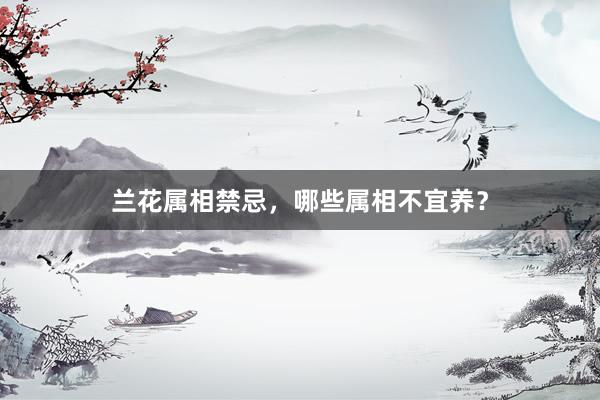 兰花属相禁忌，哪些属相不宜养？